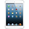Apple iPad mini 16Gb Wi-Fi + Cellular белый - Сланцы